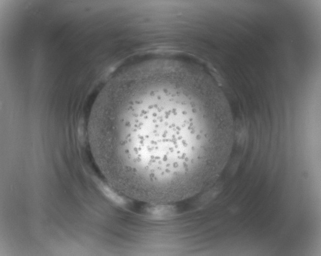 X0000082730670200701261246