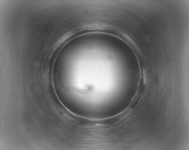 X0000082730675200701261246