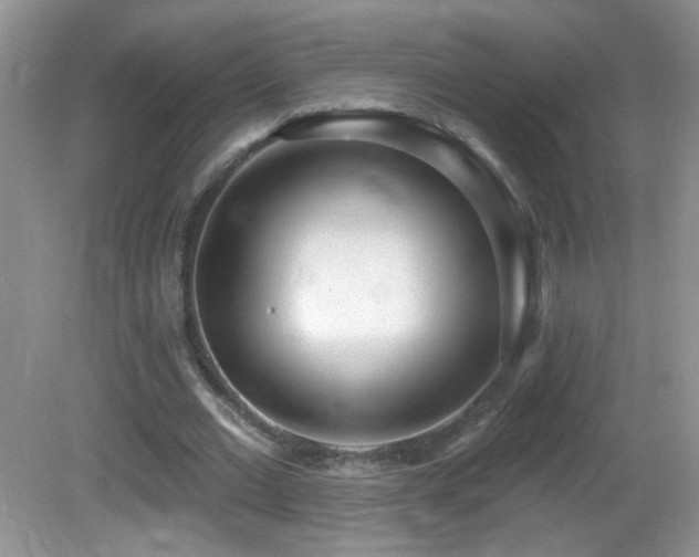X0000082730677200701261246