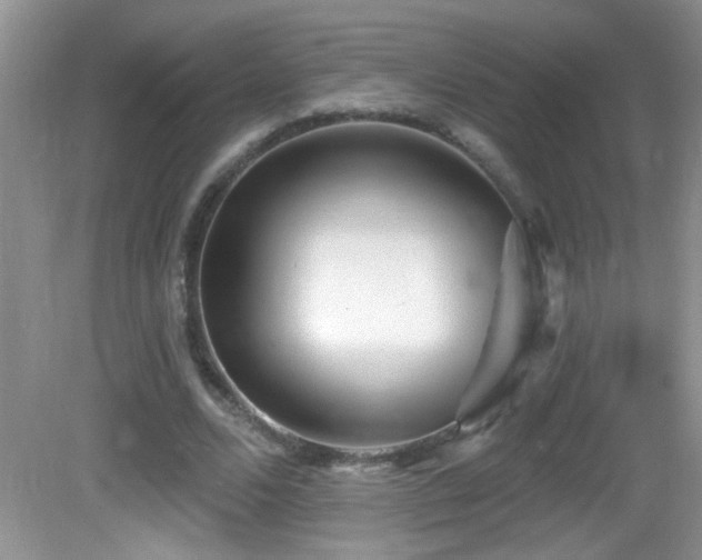 X0000082730680200701261245