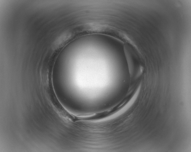 X0000082730685200701261245
