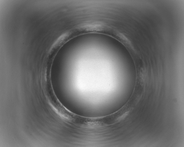 X0000082730686200701261245