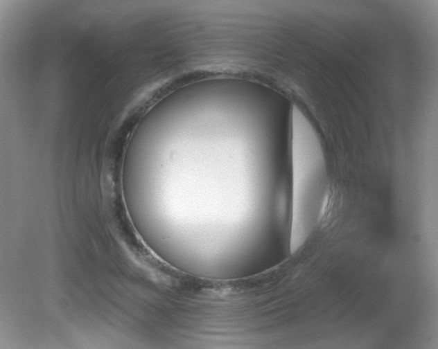 X0000082730688200701261245