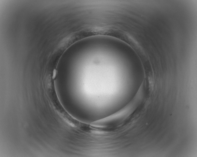 X0000082730689200701261245