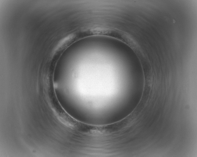 X0000082730690200701261245