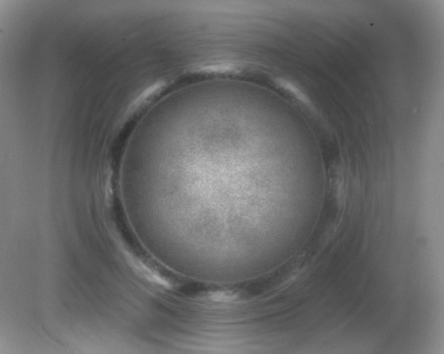X0000082730692200701261245