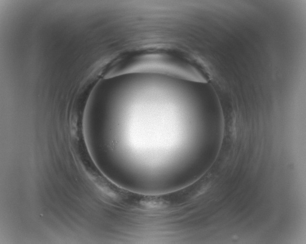 X0000082730693200701261245