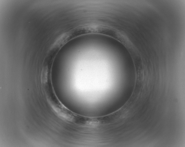 X0000082730694200701261245