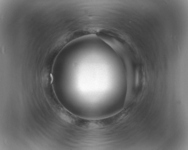 X0000082730697200701261245