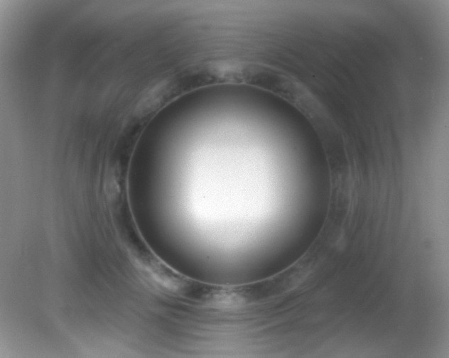 X0000082730702200701261245