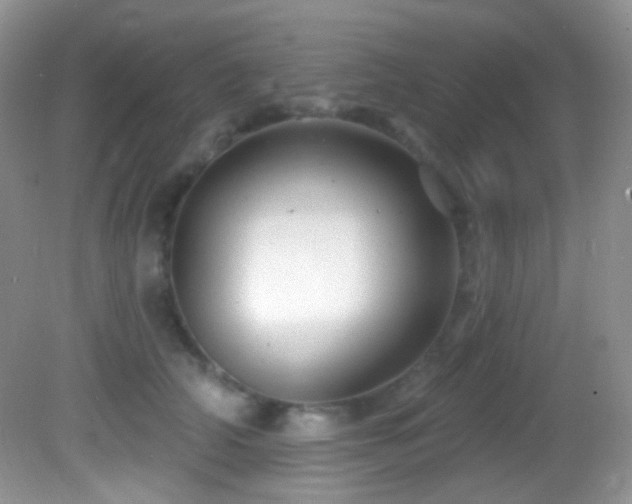 X0000082730706200701261245