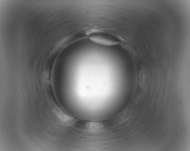 X0000082730714200701261245