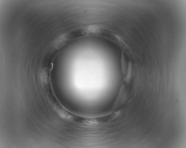 X0000082730715200701261245