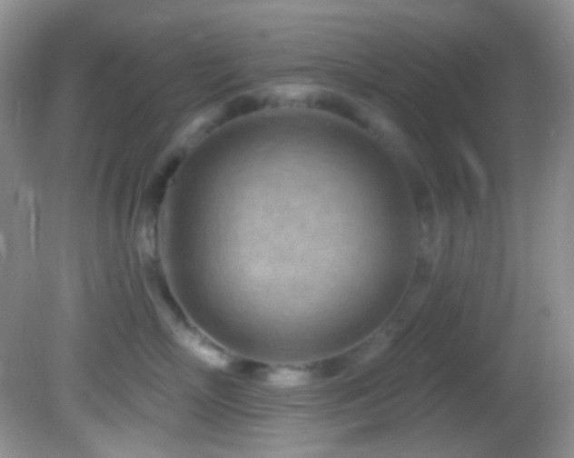 X0000082730718200701261245