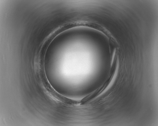 X0000082730722200701261244