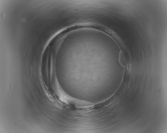 X0000082730724200701261244