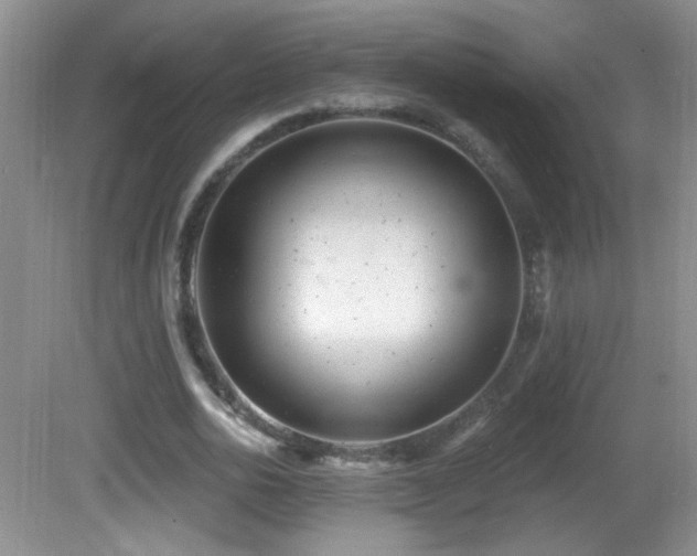 X0000082730726200701261244