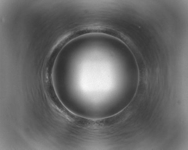 X0000082730731200701261244