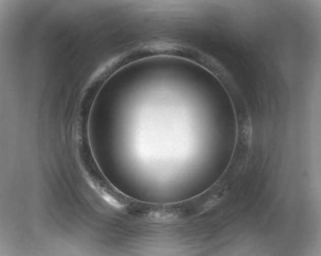 X0000082730732200701261244