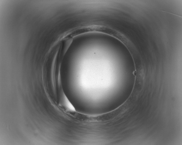 X0000082730734200701261244