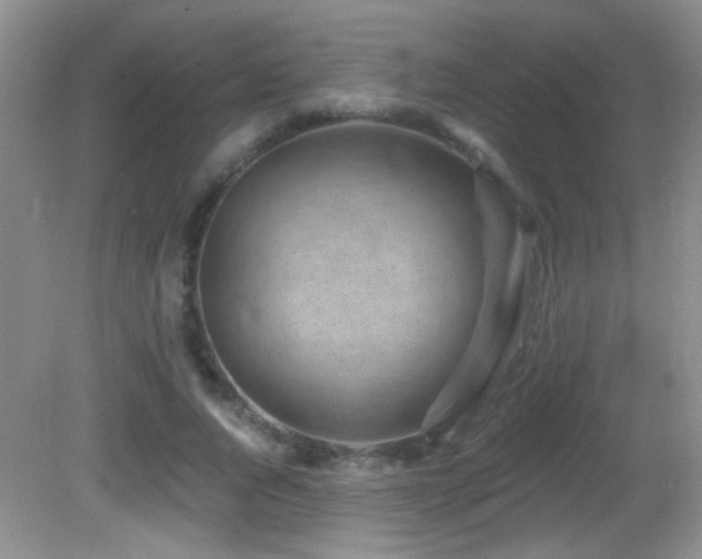 X0000082730736200701261244