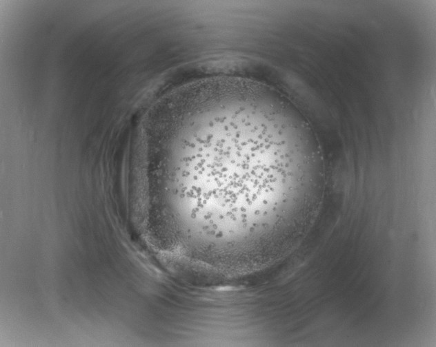 X0000082730737200701261244