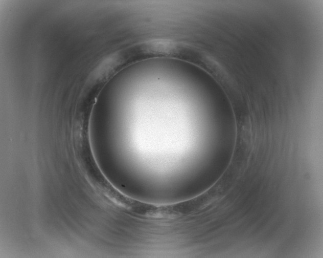 X0000082730739200701261244