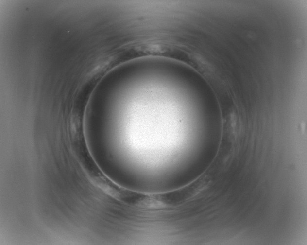 X0000082730747200701261244