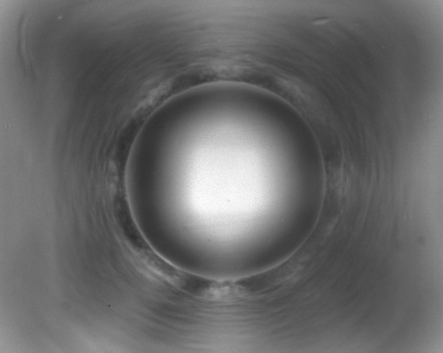 X0000082730752200701261245
