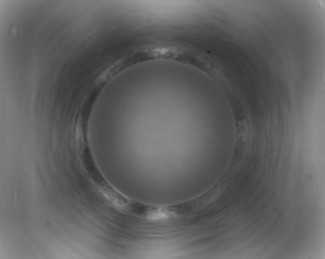X0000082730754200701261245