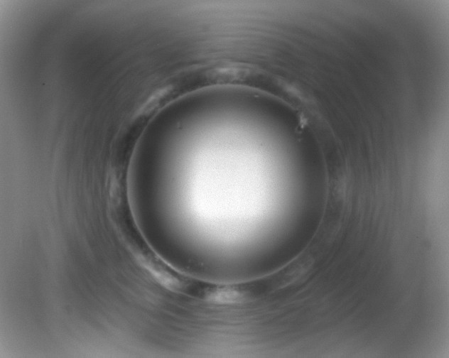 X0000082730759200701261245