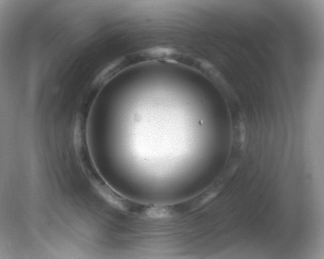 X0000082730762200701261245