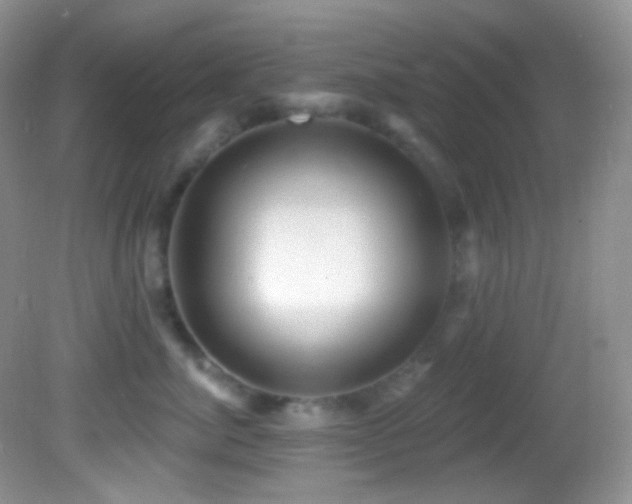 X0000082730764200701261245