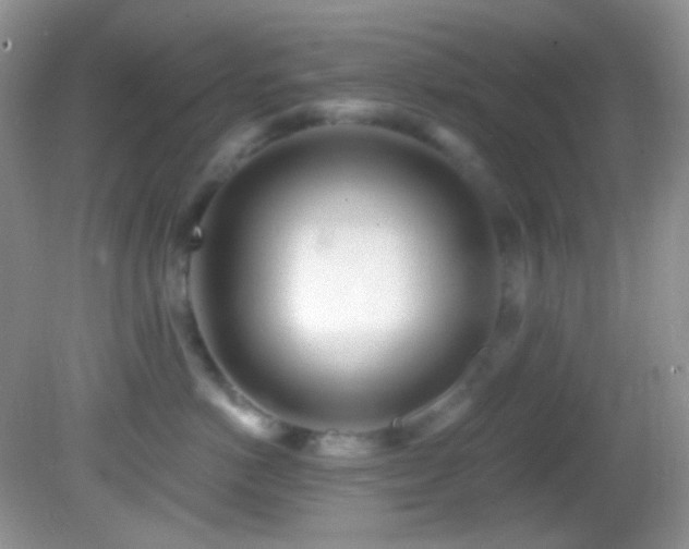 X0000082730766200701261245