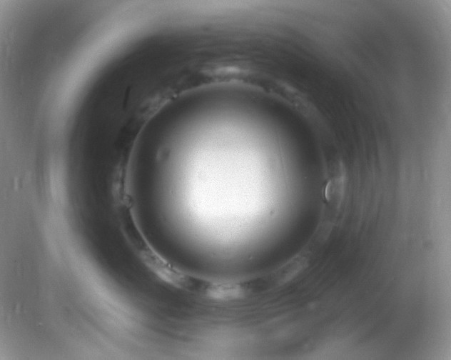 X0000082730767200701261245