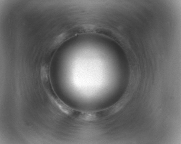 X0000082730768200701261245