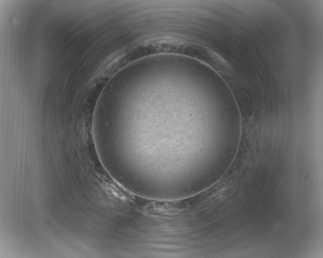 X0000082730774200701261244