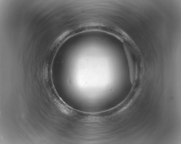 X0000082730777200701261244