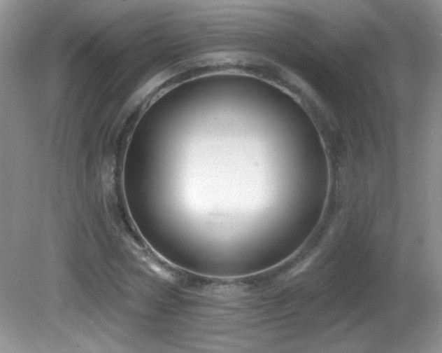 X0000082730778200701261244