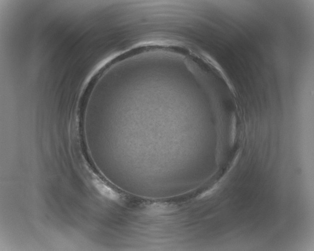 X0000082730779200701261244