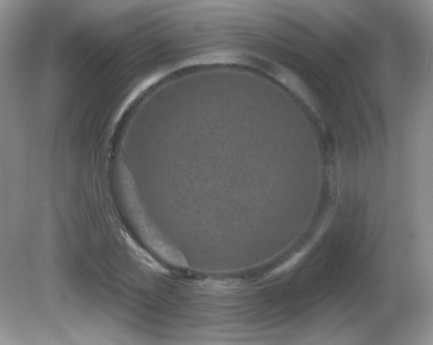 X0000082730781200701261244