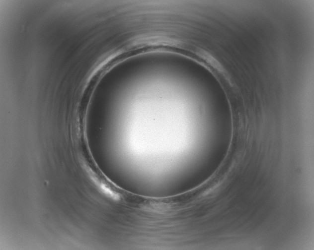 X0000082730782200701261244