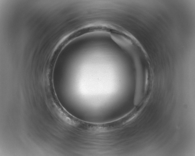 X0000082730783200701261244