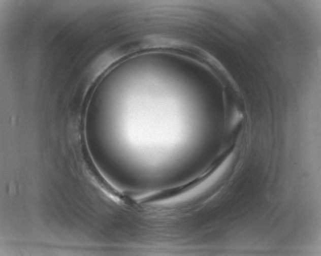 X0000082730786200701261244