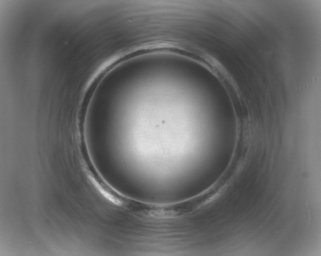 X0000082730789200701261244