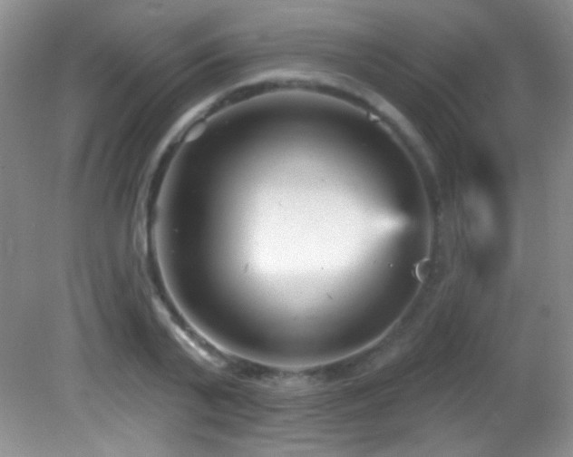 X0000082730791200701261244