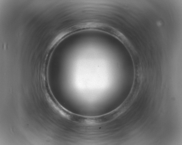 X0000082730794200701261244