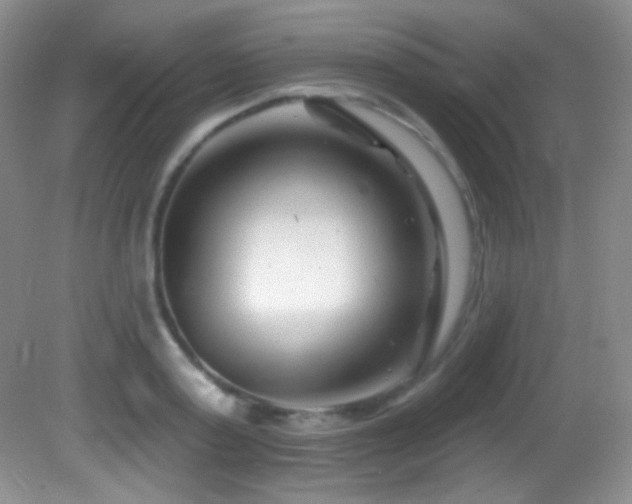 X0000082730795200701261244