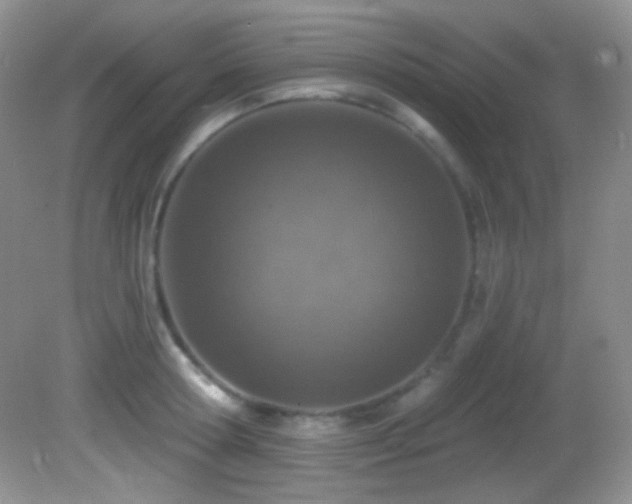 X0000082730802200701261243