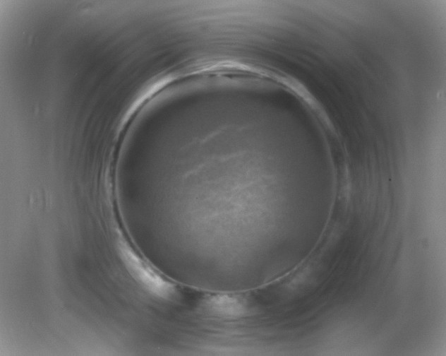 X0000082730806200701261243